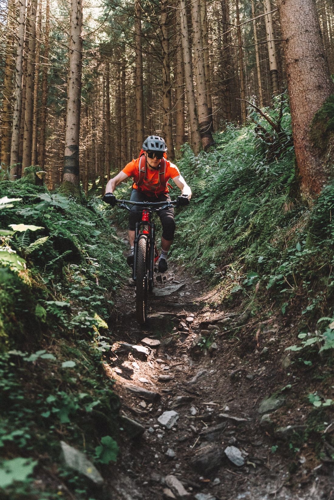 Biketouren und Downhillrides in Bad Gastein © Mountain Bike Holidays_Moritz Huebner